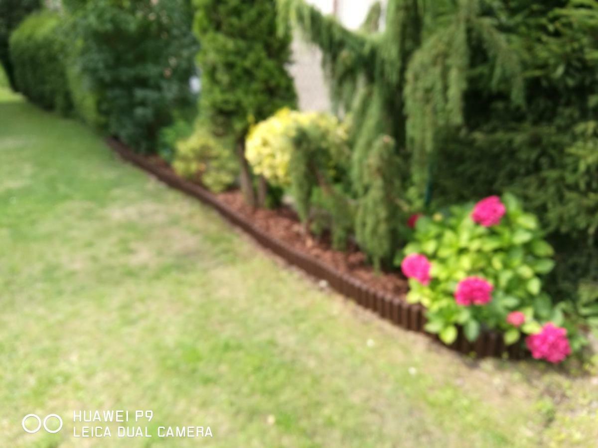 Apartament Rodzinny Colberg コウォブジェク エクステリア 写真